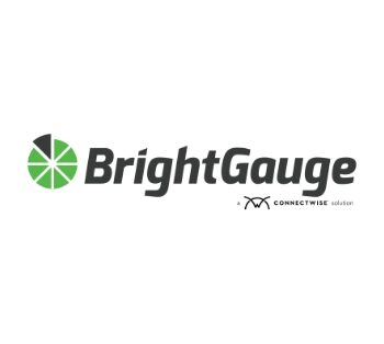logo-Brightgauge-350x314 